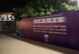 C7-包含国内足球界备受期待的国际足球锦标赛即将开启的词条