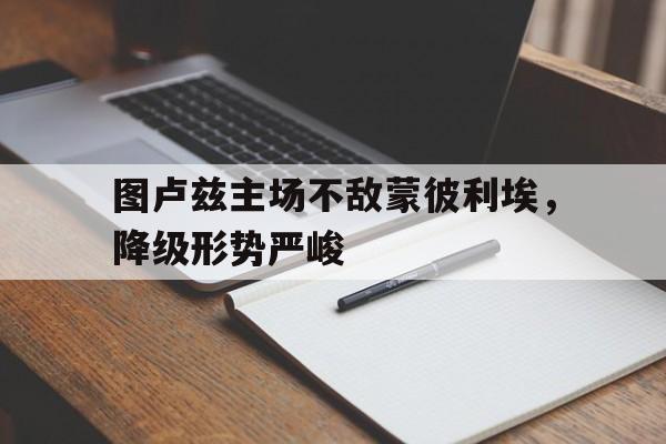 C7娱乐APP-图卢兹主场不敌蒙彼利埃，降级形势严峻的简单介绍